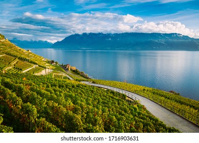 Lavaux, Switzerland: Lake Geneva and the Swiss Alps landscape seen from hiking trail among Lavaux vineyard tarraces in Canton of Vaud