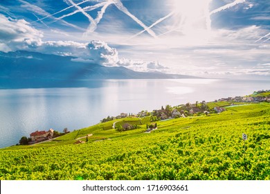Lavaux, Switzerland: Lake Geneva and the Swiss Alps landscape seen from Lavaux vineyard tarraces in Canton of Vaud