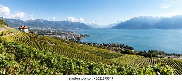 Lavaux, Switzerland: Landscape of Lavaux Vineyard Terrace hiking trail, Lake Geneva and Swiss mountains - Shutterstock ID 1021195549