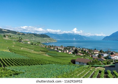 Lavaux Vineyards, Vaud, Switzerland.  - Shutterstock ID 1162926952