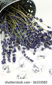 lavender