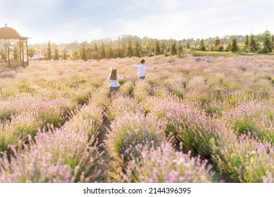 A lavender blooming field. Two children, a boy and a girl, enjoy walking through a flowering field - Powered by Shutterstock