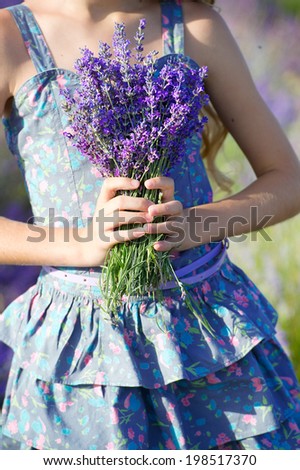 Similar – #A# Lavender morning 1