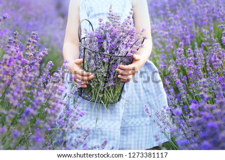 Similar – #A# Lavender morning 1