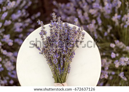 Lavender bouquet on the wooden bench in lavender field on sunrise