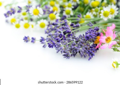 Lavender And Chamomile On White Background