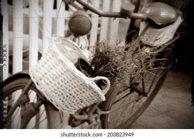 Lavender cycle