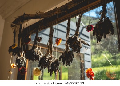 Lavender drying in the sunlight: hanging flowers in the window with warm sunbeams - Powered by Shutterstock