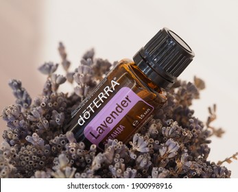 Lavender Essential Natural Oil Doterra. Belarus, Minsk, 2021