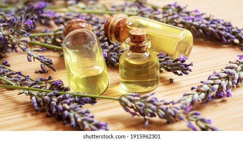Lavender essential oil in a small bottle. Selective focus. nature.