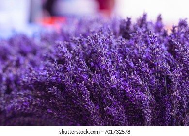 Lavender In Farm Market