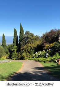 Lavender Farm In Maui, HI