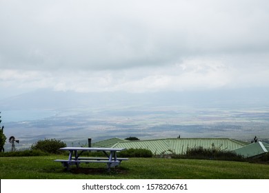 Lavender Farm View In Maui