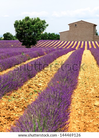 Similar – #A# Lavender Good Art