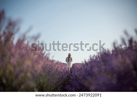 Similar – #A# Morning Sun Lavender 1