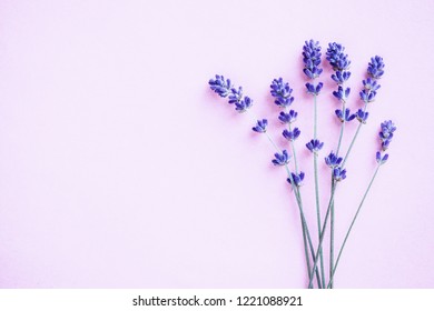 Lavender Minimalist Stock Photos, Images & Photography | Shutterstock