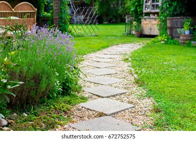 lavender flower in the beautiful garden
