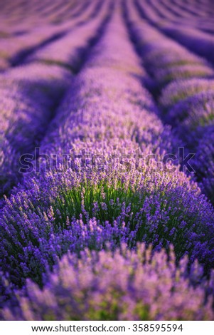 Similar – #A# Purple Fields Art