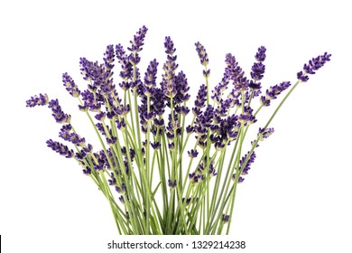 Lavender flowers bunch  isolated on white background