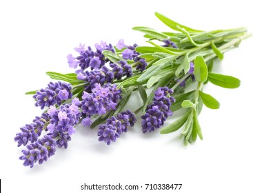 Lavender flowers bundle on a white background - Shutterstock ID 710338477