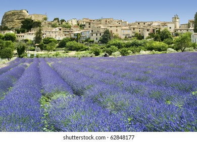 Lavender Flowers Growing Below Ancient Hill Town In Provence The South Of France