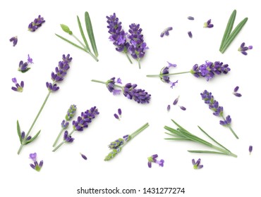 Lavender flowers isolated on white background. Top view, flat lay - Shutterstock ID 1431277274