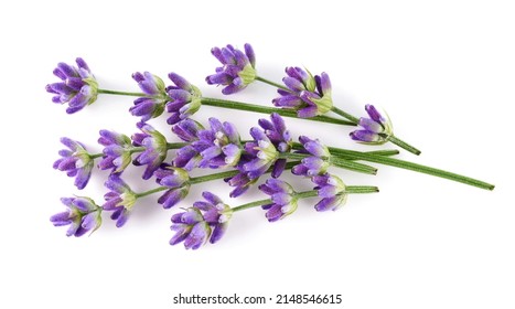 Lavender flowers isolated on white background, top view - Powered by Shutterstock