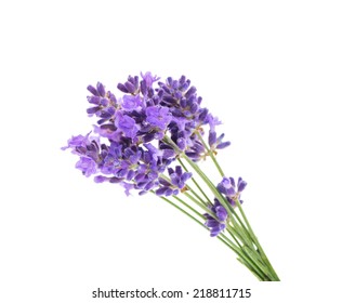 Lavender Flowers Isolated On White