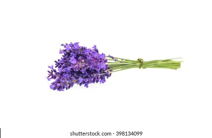 Lavender Flowers Isolated On White