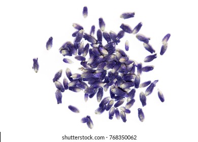 Lavender Flowers Isolated On White