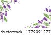 composition flower lavender
