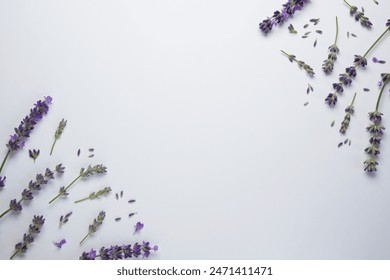 Lavender flowers and leaves creative frame on a white background. Floral composition.Top view, flat lay. Space for text.  - Powered by Shutterstock