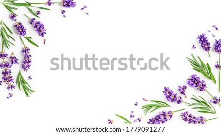 Lavender flowers and leaves creative frame on white background. Top view, flat lay. Floral composition and design. Healthy eating and alternative medicine concept