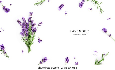 Flores y hojas lavanda