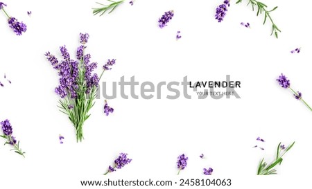 Similar – Image, Stock Photo Lavender Flowers