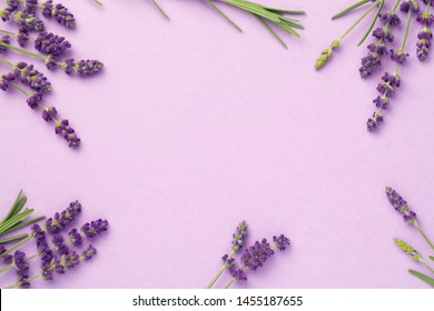 Lavender Flowers On Pink Background. Copy Space. Top View, Flat Lay