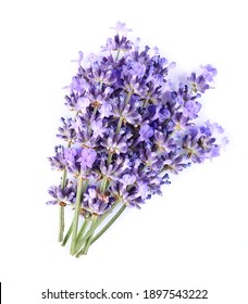 Lavender Flowers On White Backgrounds.