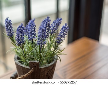 Lavender Flowers In Pot.