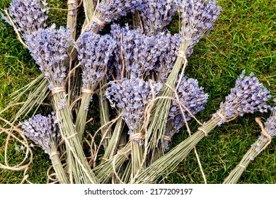 Lavender flowers. The process of drying lavender in bunches. The concept of healthcare, medicine, fashion. Collected lavender flowers in bunches dry in the open air.