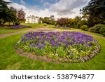 Lavender flowers in the Rookery in Streatham Common Park in London, UK