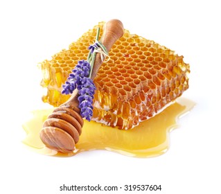 Lavender Honey