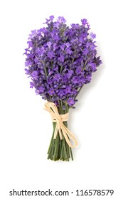 Lavender Isolated On White Background