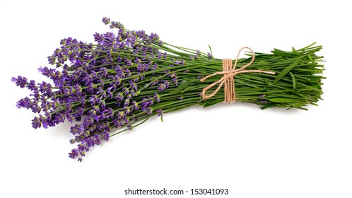 Similar Images, Stock Photos & Vectors of lavender isolated on white
