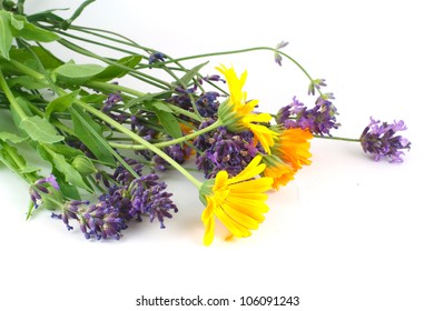 Lavender Marigold Isolated On White Background Stock Photo 106091243 ...