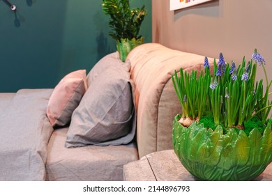 Lavender Narrow-leaved With Bulbs In A Green Pot In The Interior Of The Bedroom.