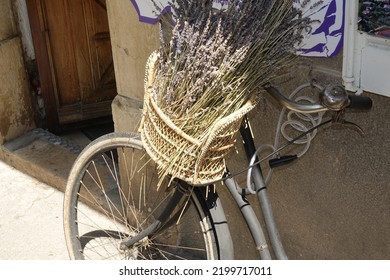 Lavender On A Bike In Provence