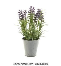 Lavender Plant In A Metal Pot Isolated On White Background