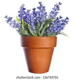 Lavender Plant In Pottery Clay Terracotta Pot   Isolated On White Background