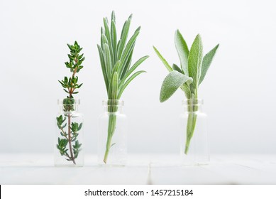 lavender, thyme and sage fresh herbal leaves in mini glass bottles, white wood table background - Shutterstock ID 1457215184