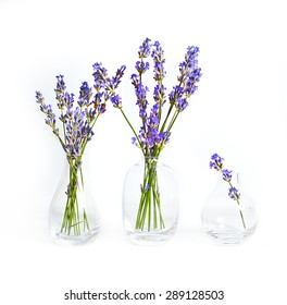 Lavender In Vase